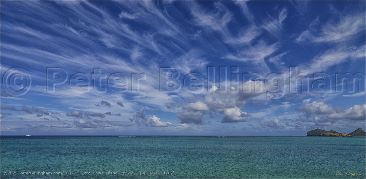 Peter Bellingham Photography Lord Howe Island - NSW T (PBH4 00 11787)